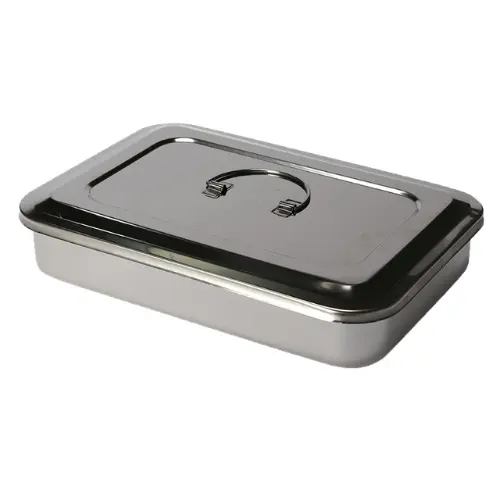 BANDEJA CON TAPA EN ACERO 30*20*5 CM